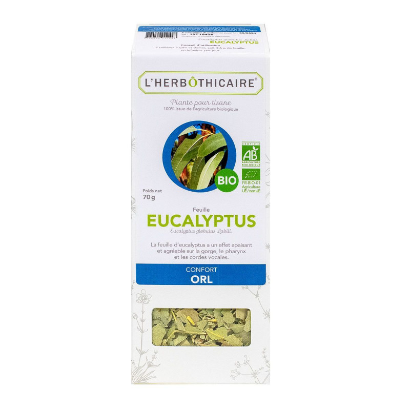Feuille d'eucalyptus (infusion) - Achat, usage et vertus - Ile aux épices
